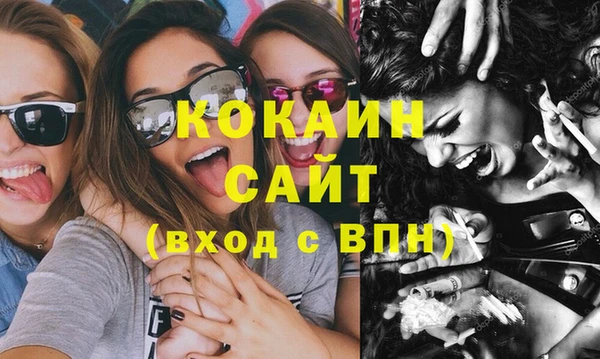 индика Абинск