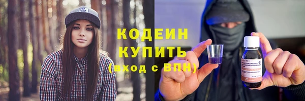 индика Абинск