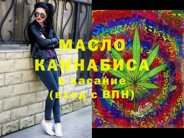 индика Абинск