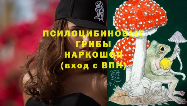 метадон Алексеевка