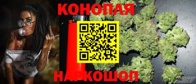 сатива Севастополь