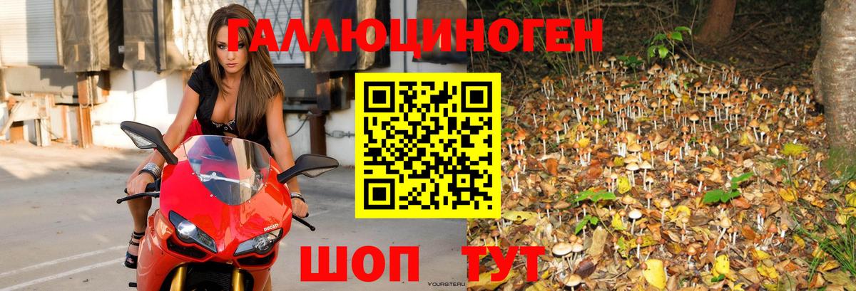 Галлюциногенные грибы прущие грибы Шахты