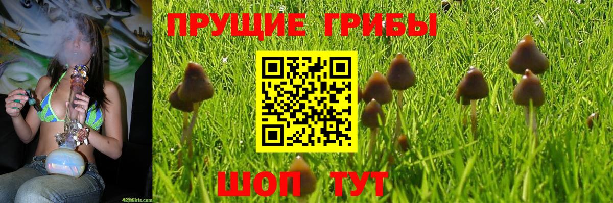 Шахты  Галлюциногенные грибы MAGIC MUSHROOMS  Вход с VPN 