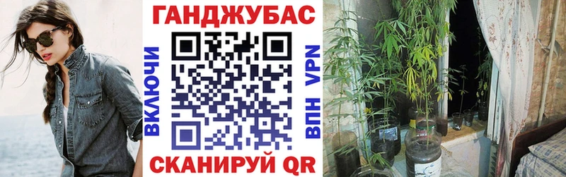 Каннабис конопля Шахты